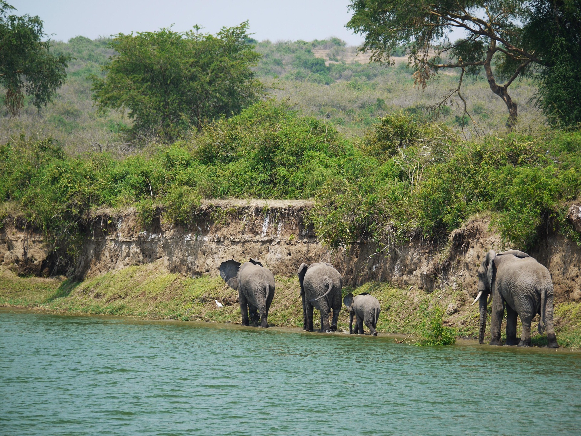 Maasai Mara