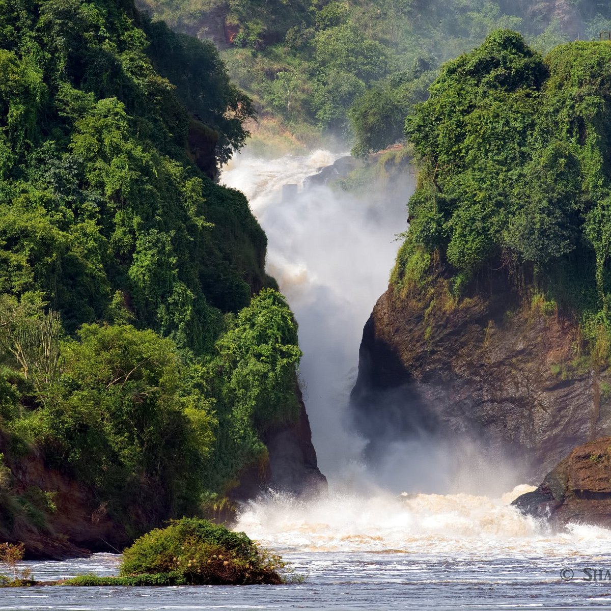 Kenya Safari