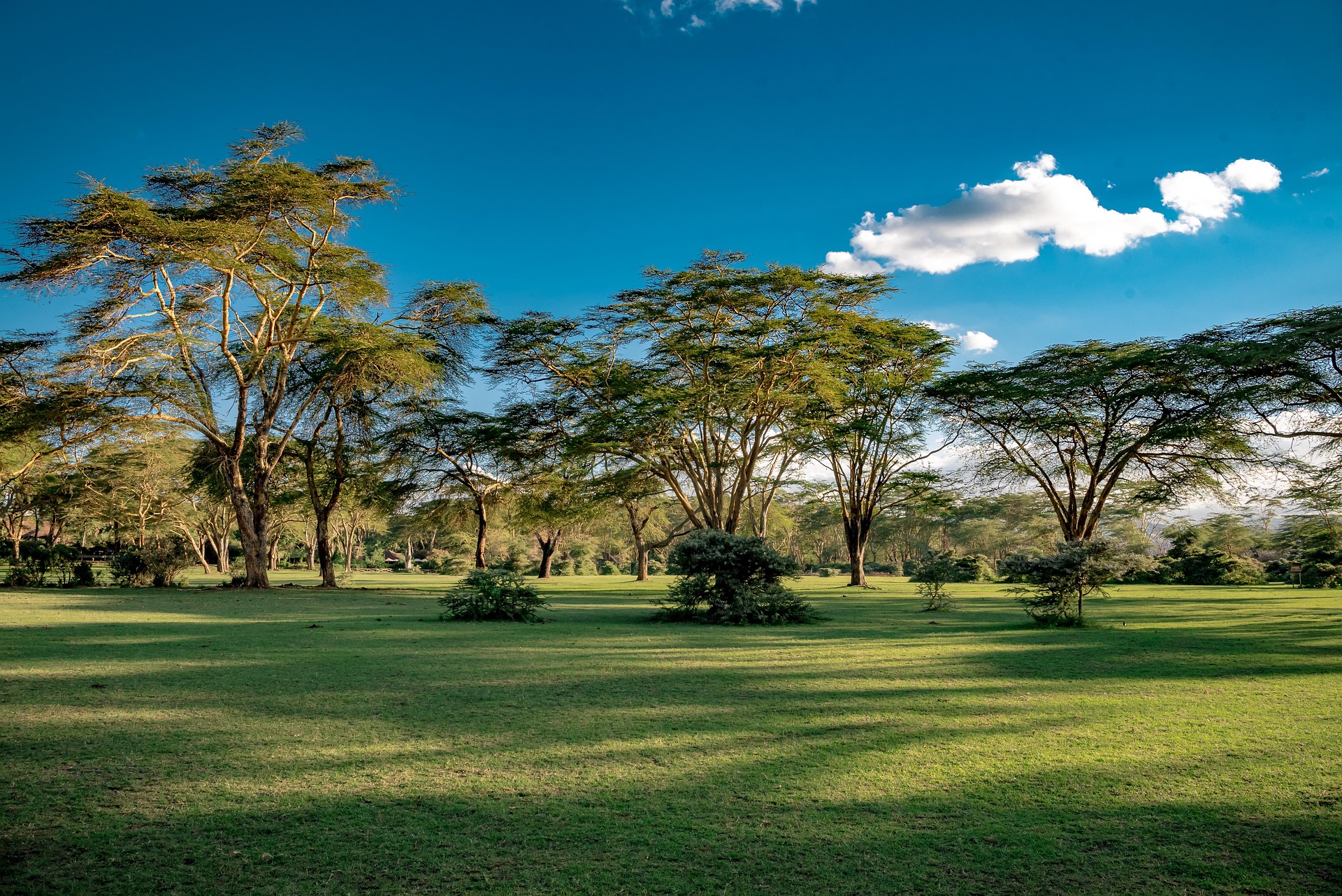Maasai Mara