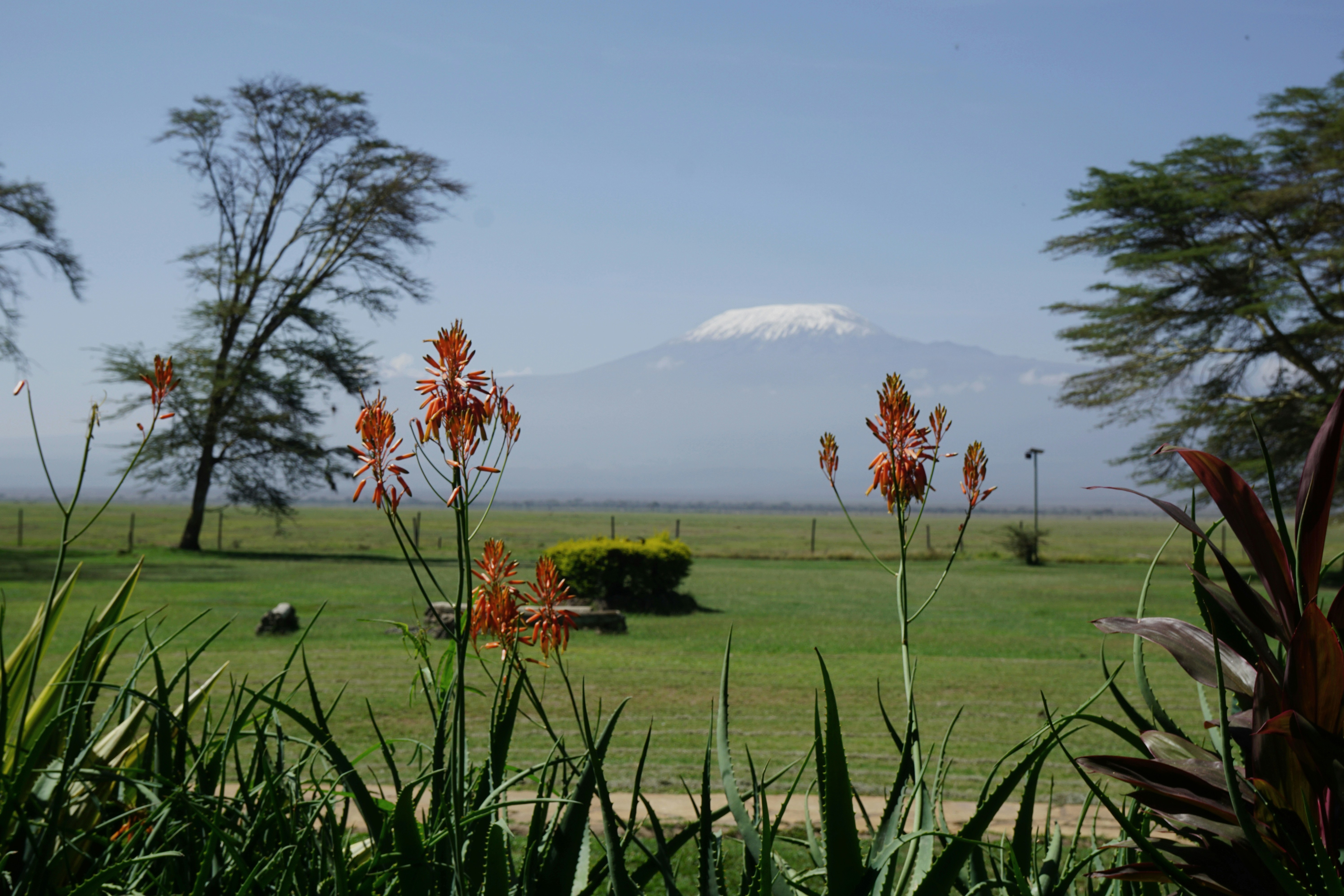 Kenya Safari